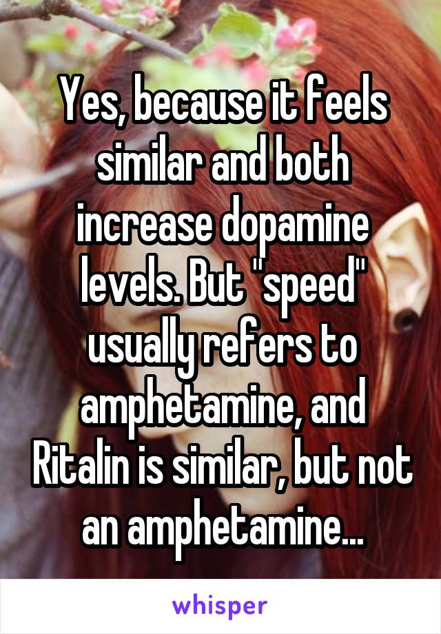 Yes, because it feels similar and both increase dopamine levels. But "speed" usually refers to amphetamine, and Ritalin is similar, but not an amphetamine...