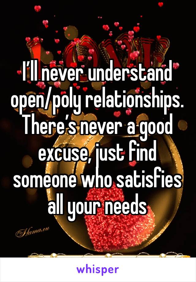 I’ll never understand open/poly relationships. There’s never a good excuse, just find someone who satisfies all your needs