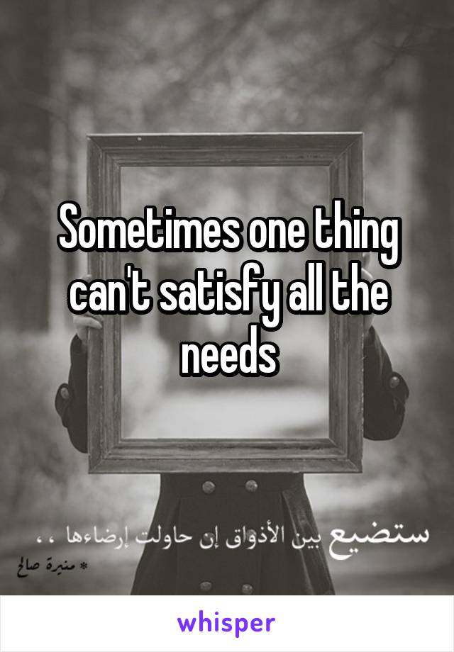 Sometimes one thing can't satisfy all the needs
