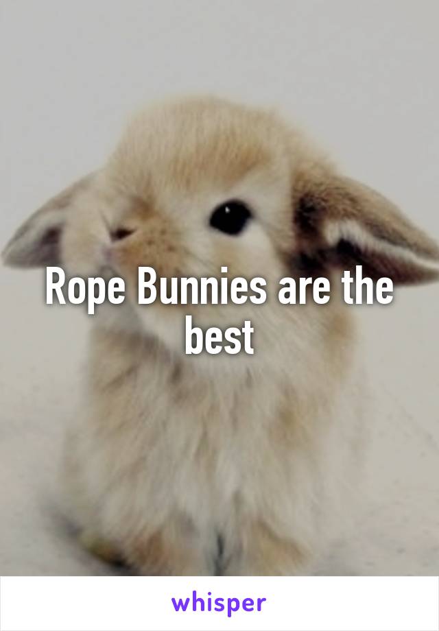 Rope Bunnies are the best