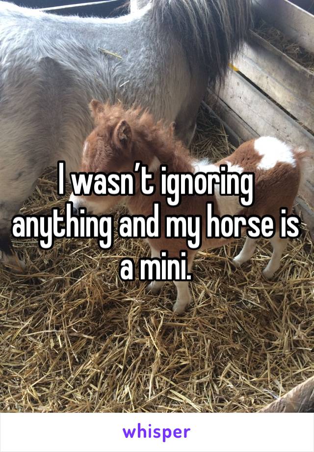 I wasn’t ignoring anything and my horse is a mini. 