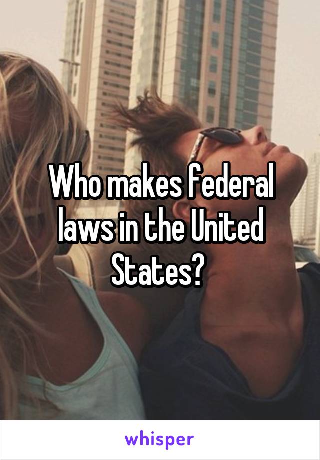 Who makes federal laws in the United States? 