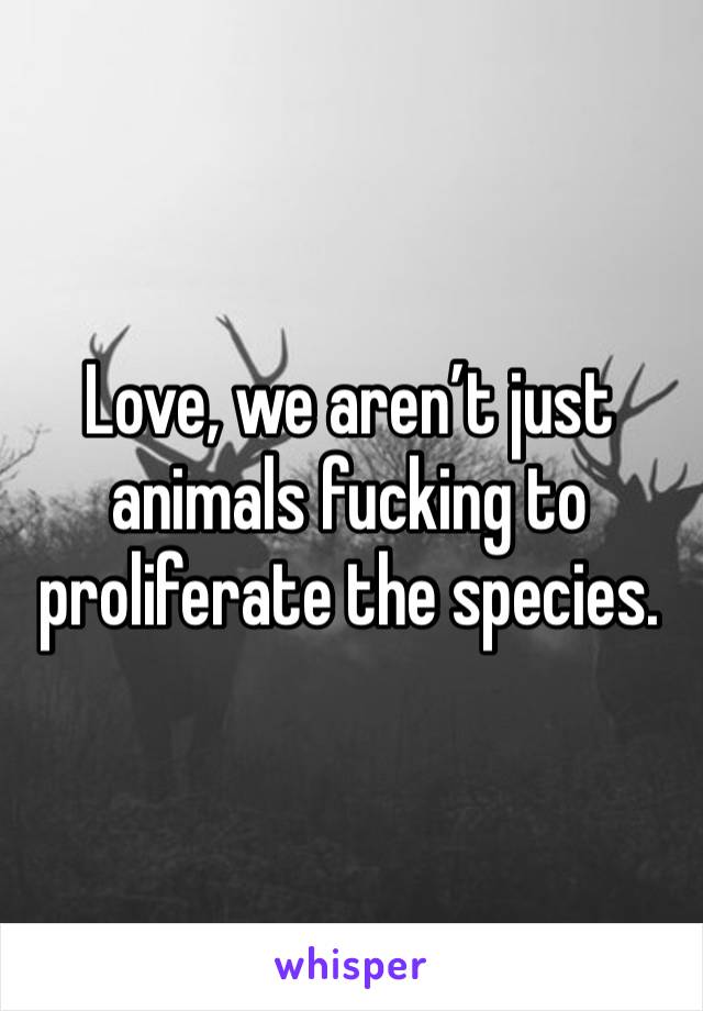 Love, we aren’t just animals fucking to proliferate the species.