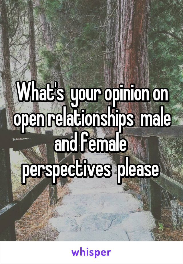 What's  your opinion on open relationships  male and female  perspectives  please 