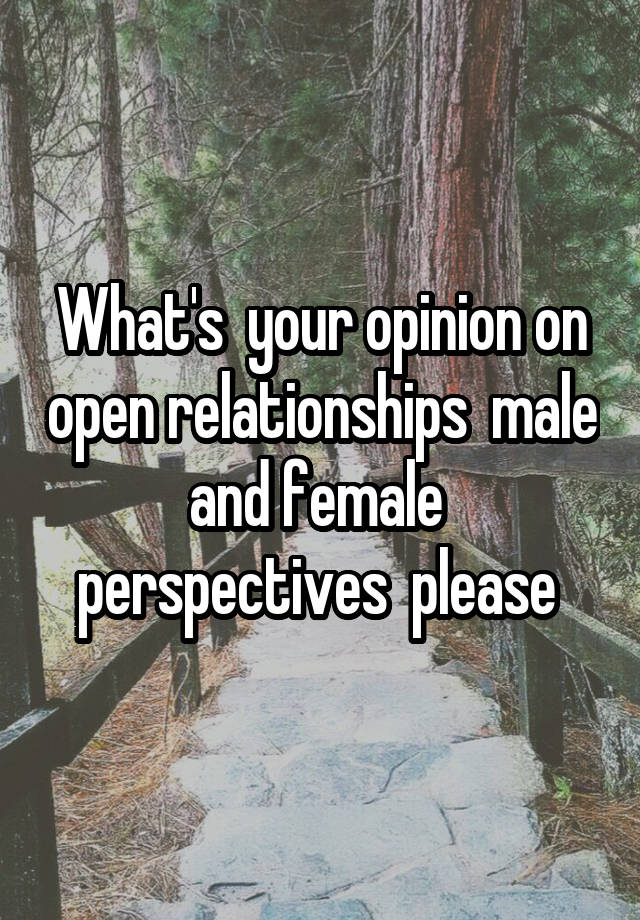 What's  your opinion on open relationships  male and female  perspectives  please 