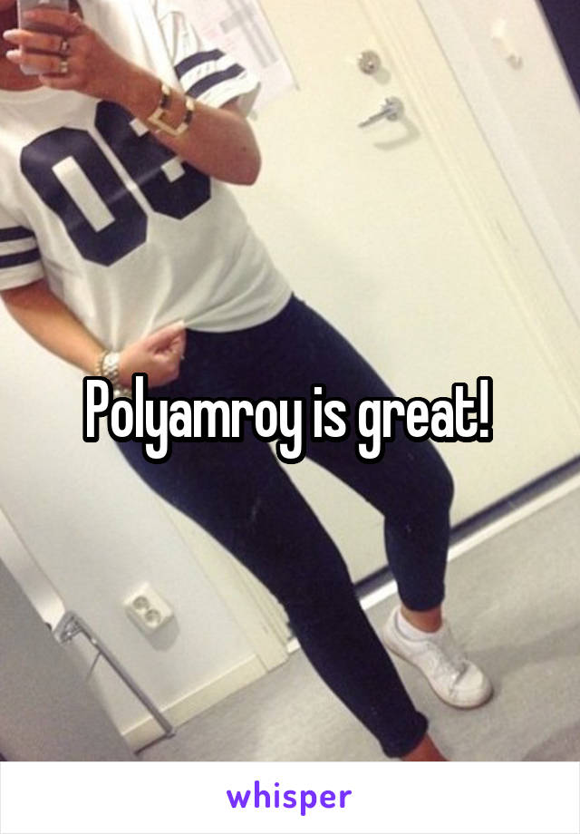 Polyamroy is great! 