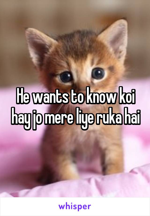 He wants to know koi hay jo mere liye ruka hai