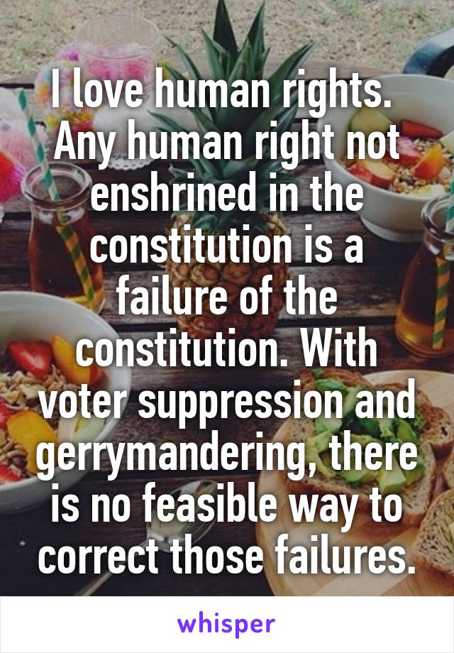 I love human rights.  Any human right not enshrined in the constitution is a failure of the constitution. With voter suppression and gerrymandering, there is no feasible way to correct those failures.