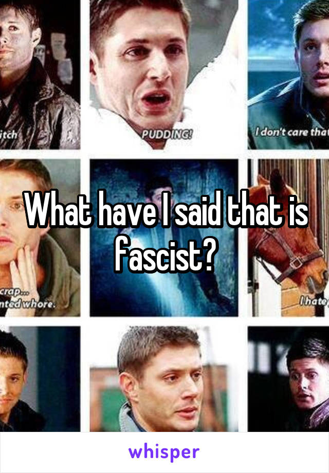 What have I said that is fascist?