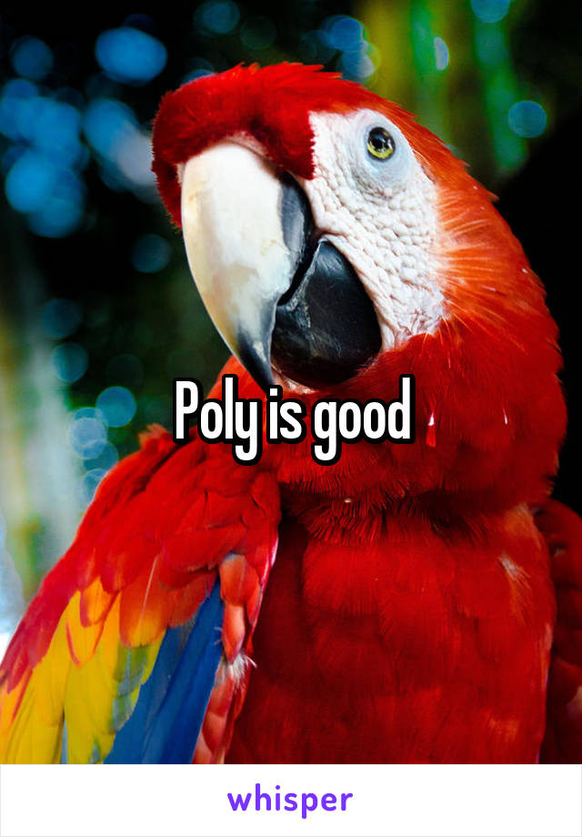 Poly is good