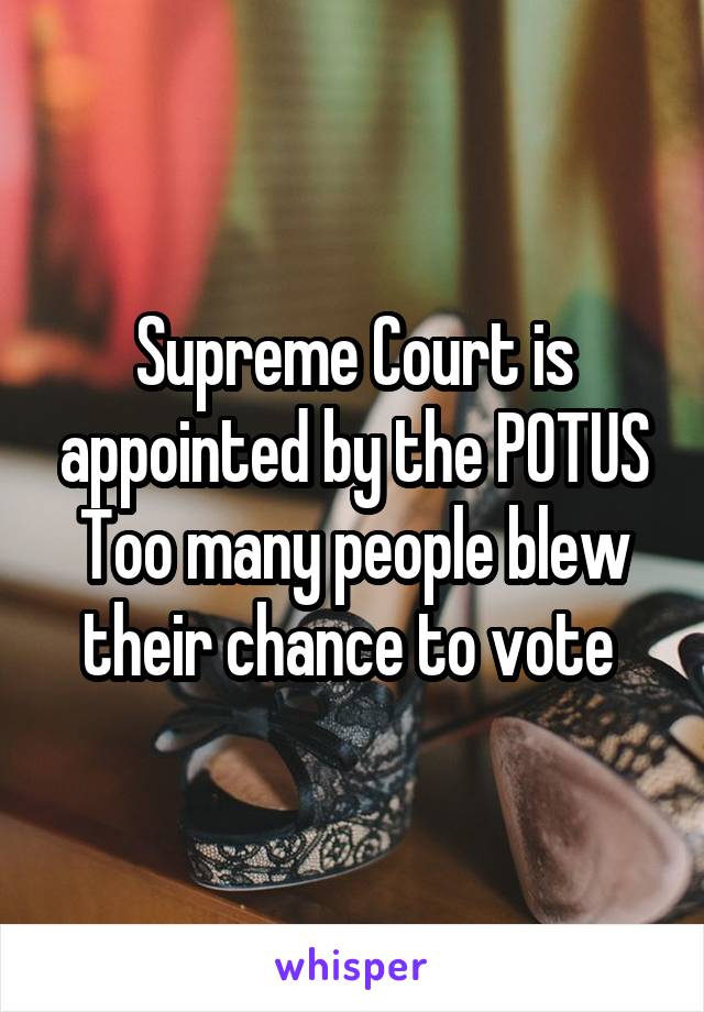 Supreme Court is appointed by the POTUS
Too many people blew their chance to vote 