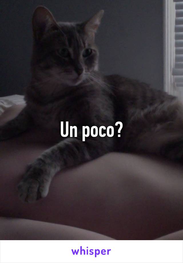 Un poco?