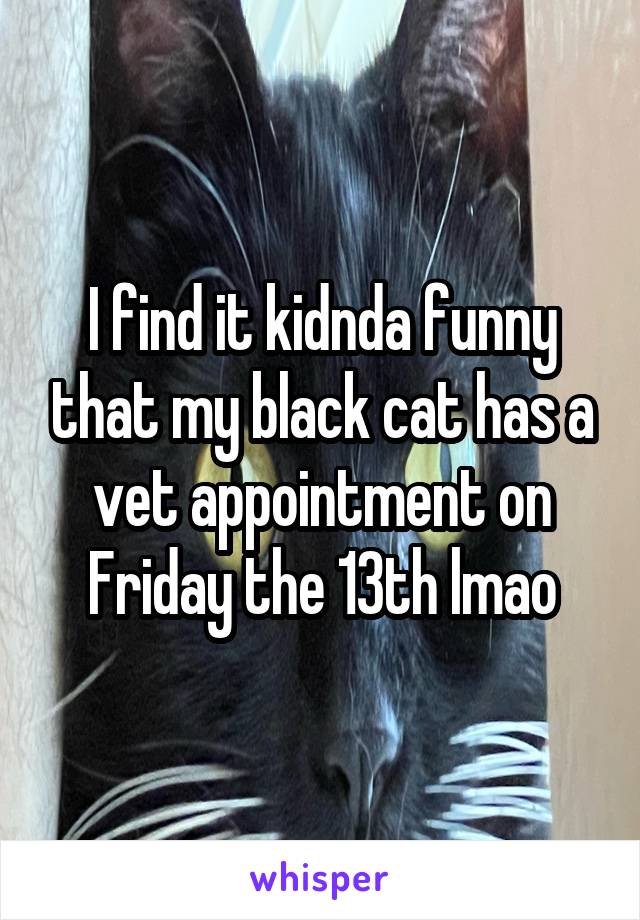 I find it kidnda funny that my black cat has a vet appointment on Friday the 13th lmao