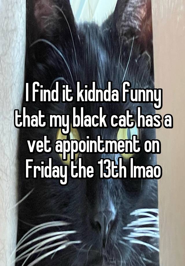 I find it kidnda funny that my black cat has a vet appointment on Friday the 13th lmao