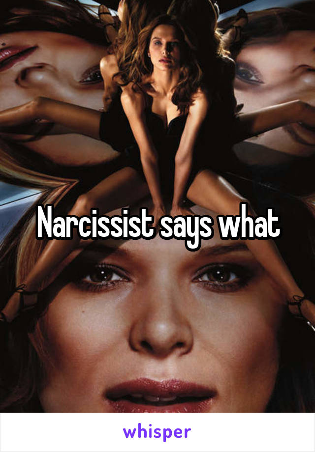 Narcissist says what