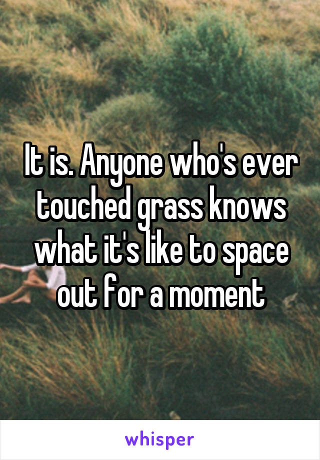 It is. Anyone who's ever touched grass knows what it's like to space out for a moment