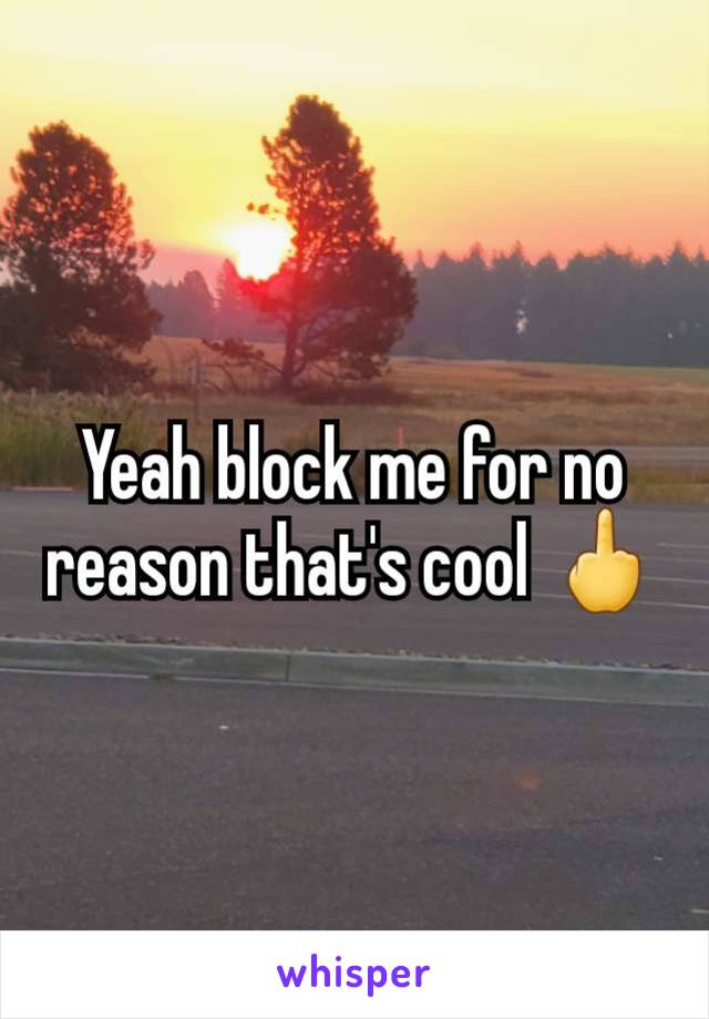 Yeah block me for no reason that's cool 🖕