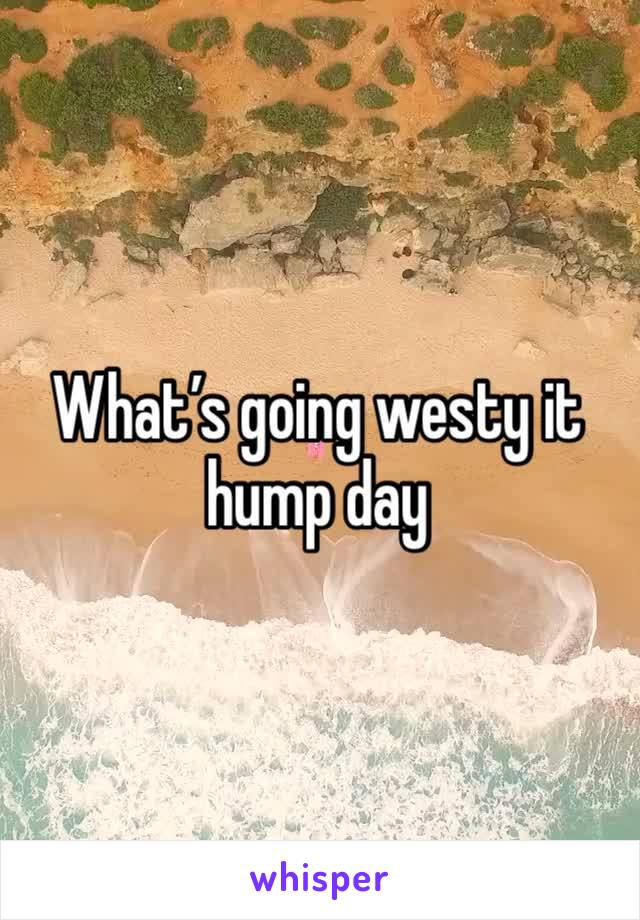 What’s going westy it hump day