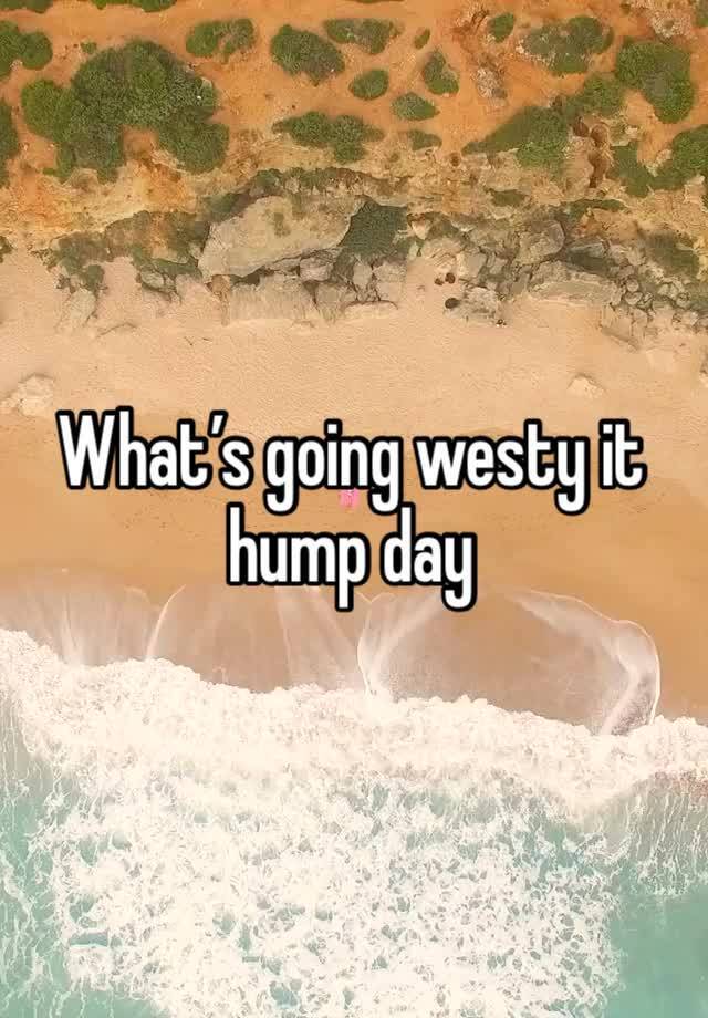 What’s going westy it hump day