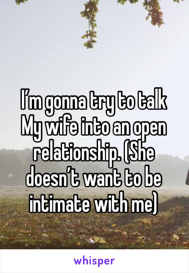 I’m gonna try to talk 
My wife into an open relationship. (She doesn’t want to be intimate with me) 