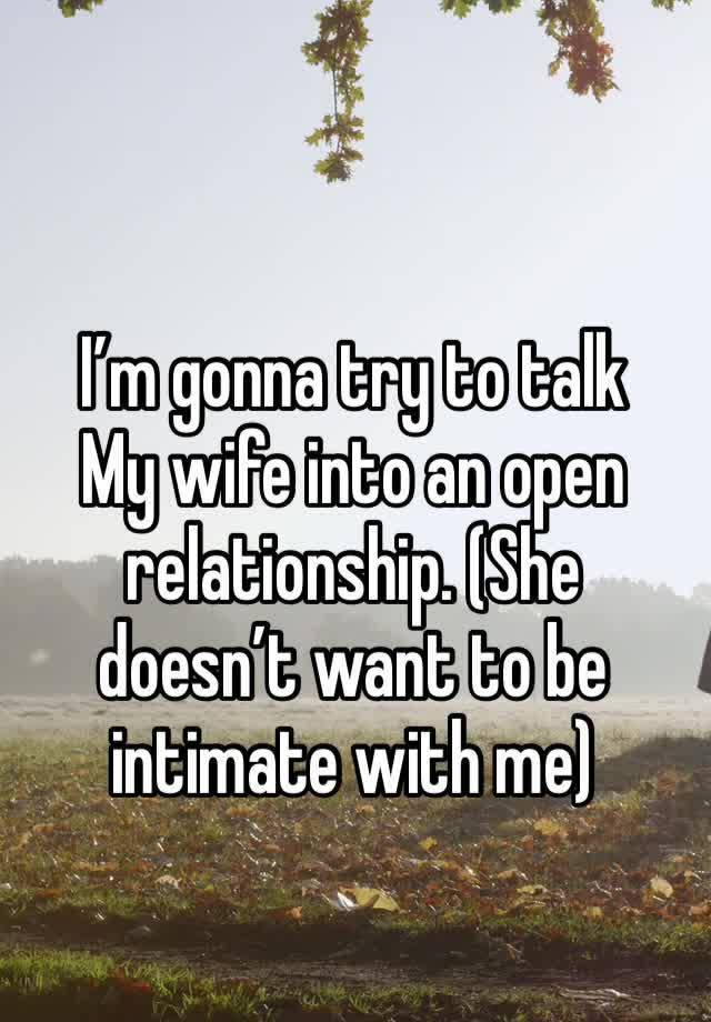 I’m gonna try to talk 
My wife into an open relationship. (She doesn’t want to be intimate with me) 