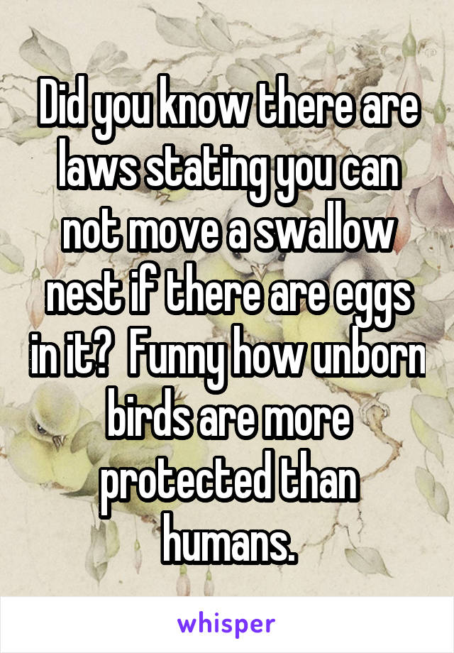 Did you know there are laws stating you can not move a swallow nest if there are eggs in it?  Funny how unborn birds are more protected than humans.