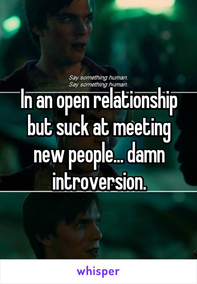 In an open relationship but suck at meeting new people... damn introversion.