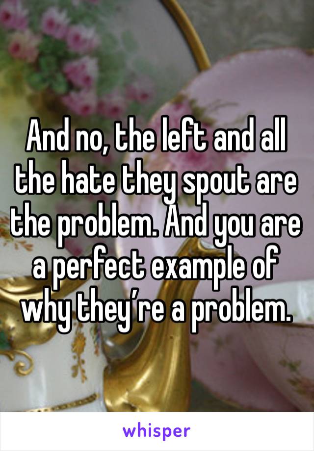 And no, the left and all the hate they spout are the problem. And you are a perfect example of why they’re a problem. 