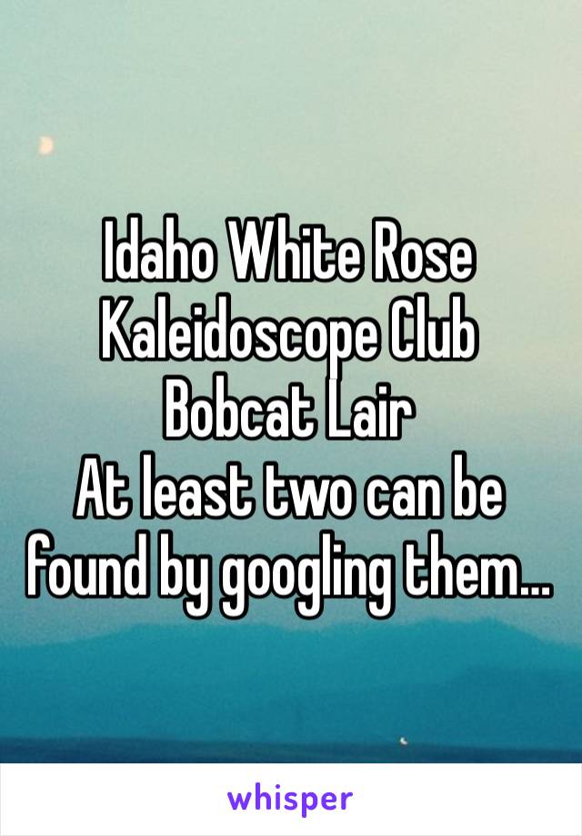 Idaho White Rose 
Kaleidoscope Club
Bobcat Lair
At least two can be found by googling them…