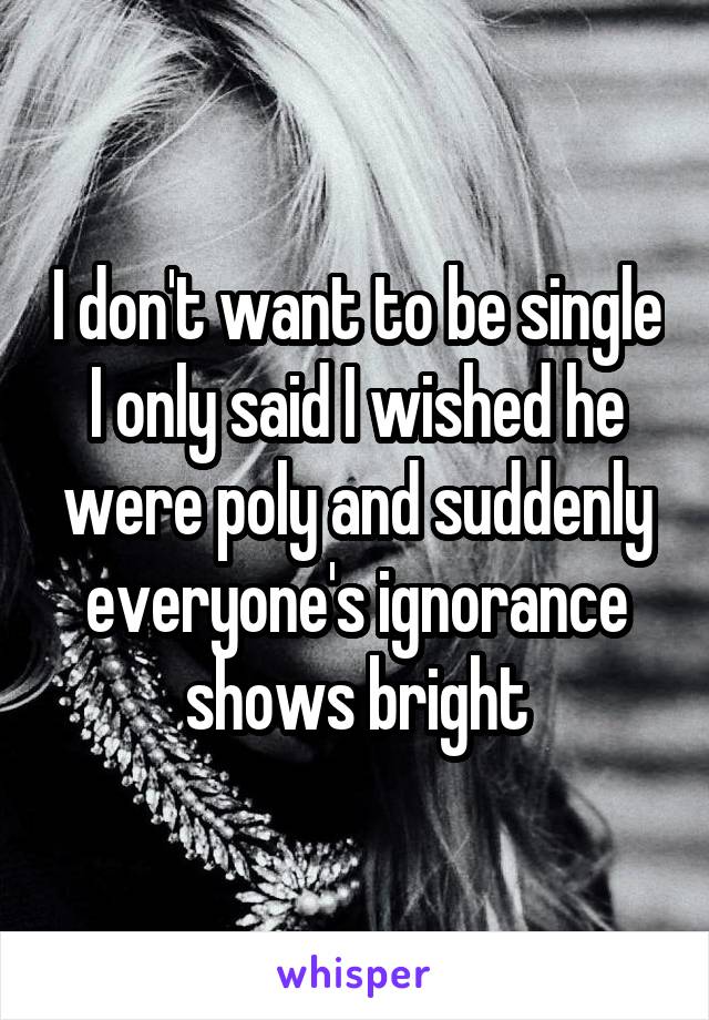 I don't want to be single I only said I wished he were poly and suddenly everyone's ignorance shows bright