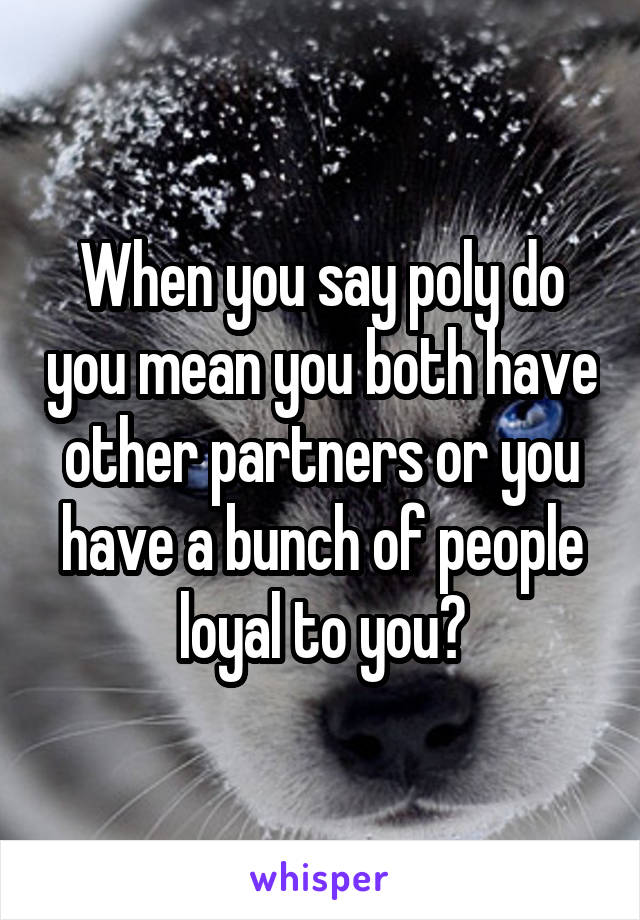 When you say poly do you mean you both have other partners or you have a bunch of people loyal to you?