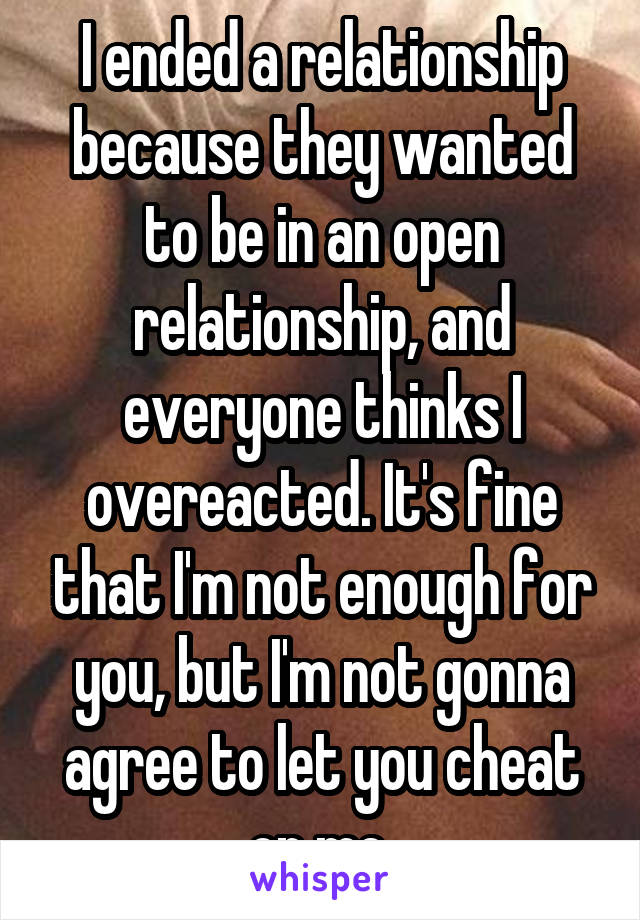 I ended a relationship because they wanted to be in an open relationship, and everyone thinks I overeacted. It's fine that I'm not enough for you, but I'm not gonna agree to let you cheat on me.