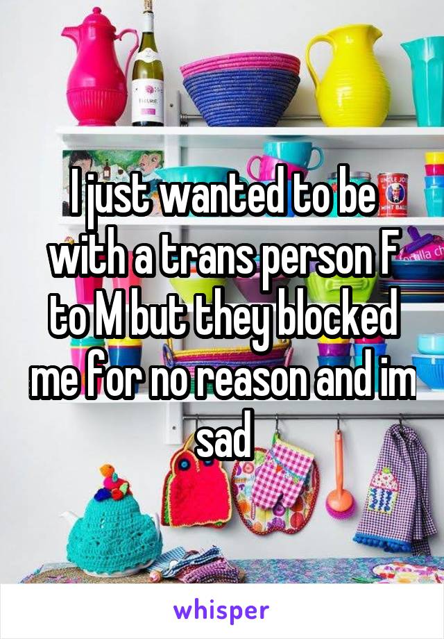 I just wanted to be with a trans person F to M but they blocked me for no reason and im sad