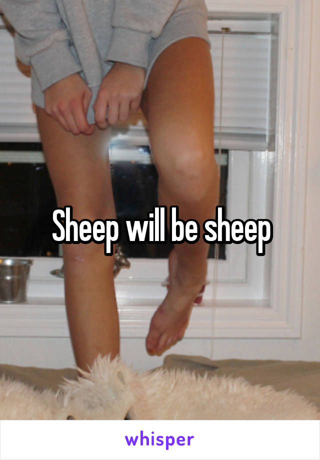 Sheep will be sheep