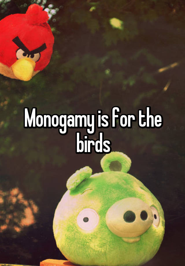 Monogamy is for the birds