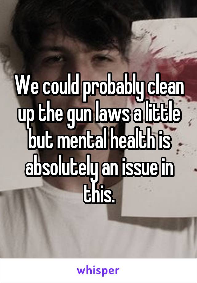 We could probably clean up the gun laws a little but mental health is absolutely an issue in this.