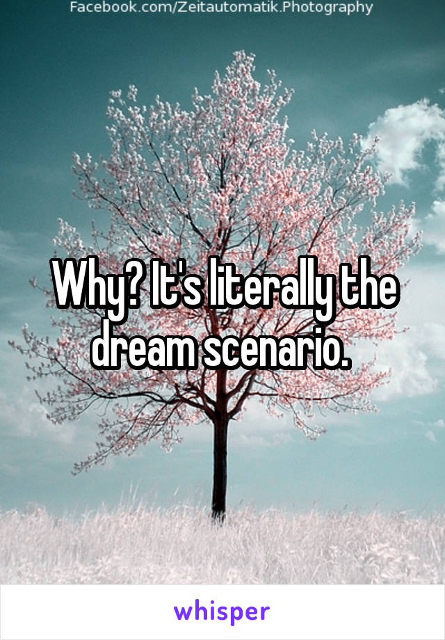 Why? It's literally the dream scenario. 