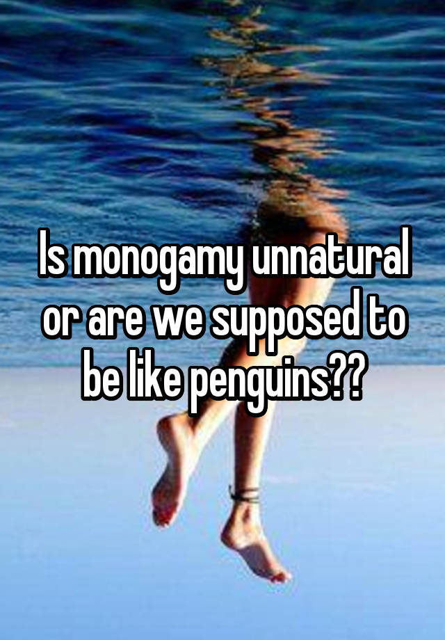 Is monogamy unnatural or are we supposed to be like penguins??