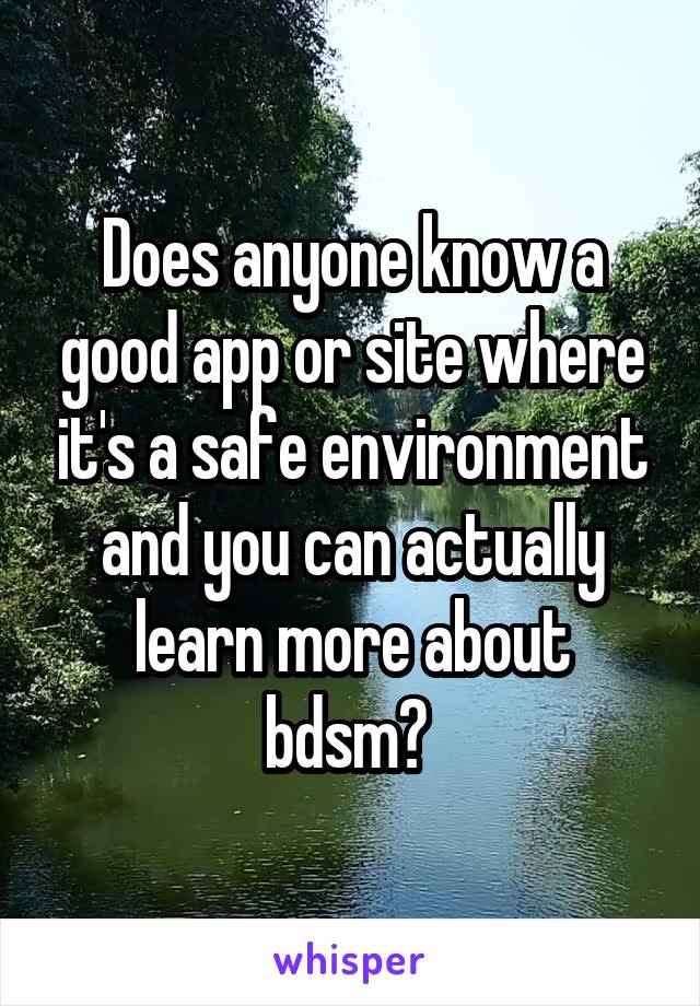 Does anyone know a good app or site where it's a safe environment and you can actually learn more about bdsm? 