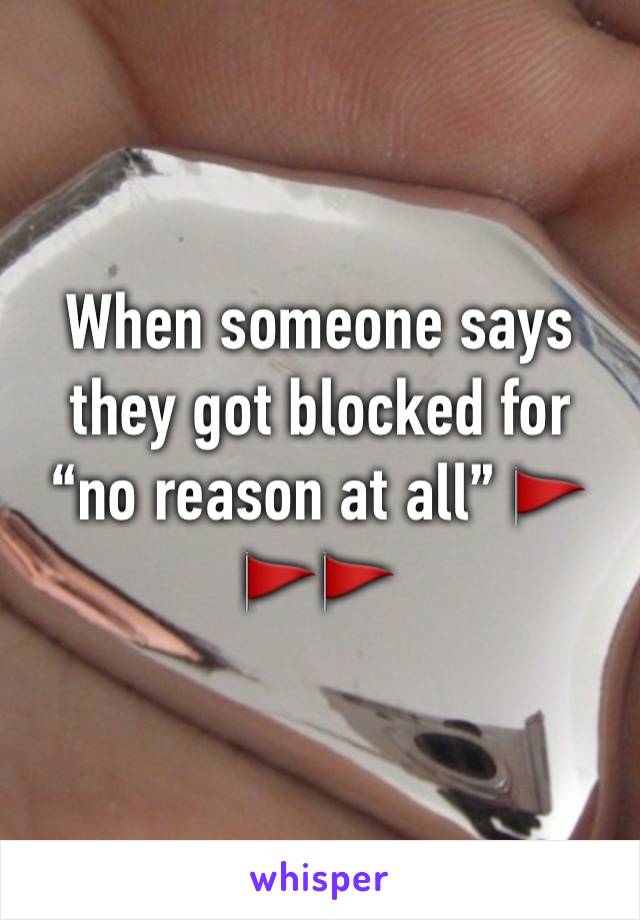 When someone says they got blocked for “no reason at all” 🚩🚩🚩