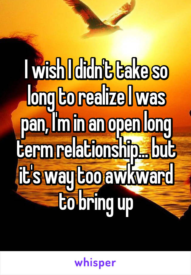 I wish I didn't take so long to realize I was pan, I'm in an open long term relationship... but it's way too awkward to bring up