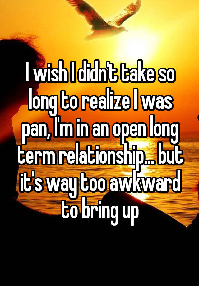 I wish I didn't take so long to realize I was pan, I'm in an open long term relationship... but it's way too awkward to bring up