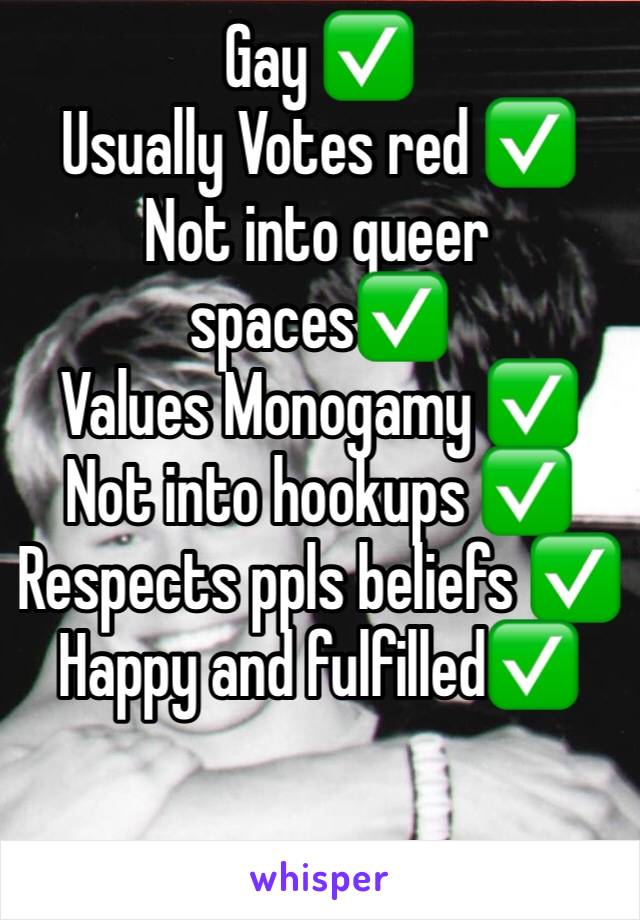 Gay ✅
Usually Votes red ✅
Not into queer spaces✅ 
Values Monogamy ✅
Not into hookups ✅
Respects ppls beliefs ✅
Happy and fulfilled✅
