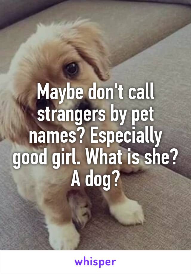 Maybe don't call strangers by pet names? Especially good girl. What is she? A dog?