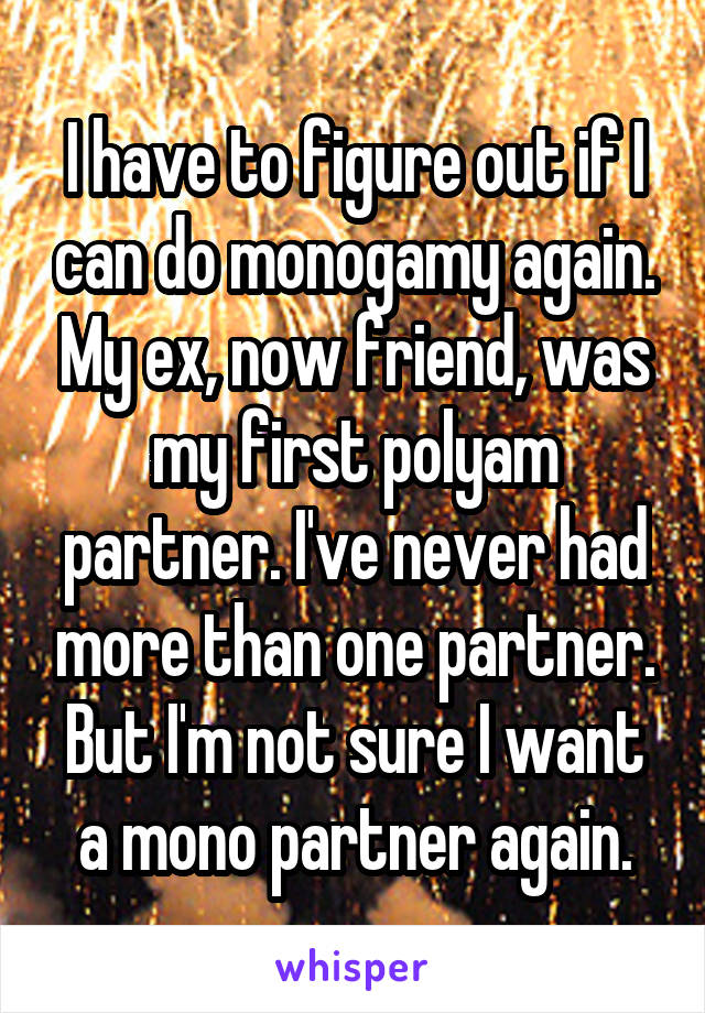 I have to figure out if I can do monogamy again. My ex, now friend, was my first polyam partner. I've never had more than one partner. But I'm not sure I want a mono partner again.