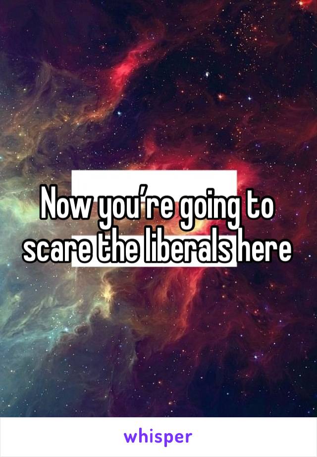 Now you’re going to scare the liberals here 