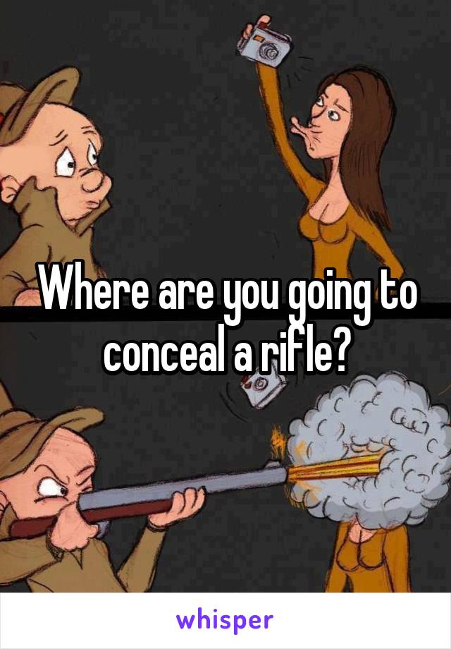 Where are you going to conceal a rifle?