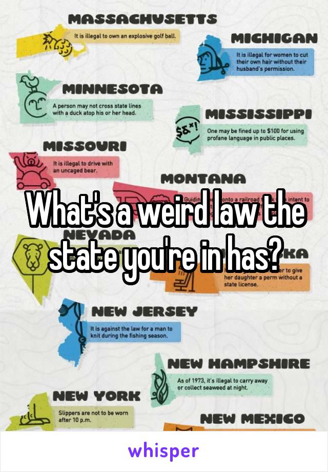 What's a weird law the state you're in has?