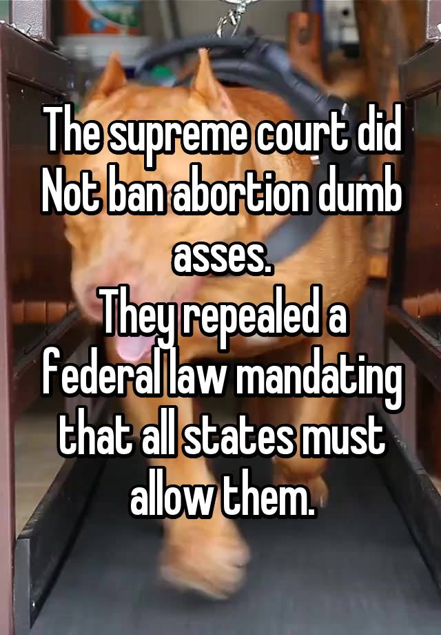 The supreme court did Not ban abortion dumb asses.
They repealed a federal law mandating that all states must allow them.