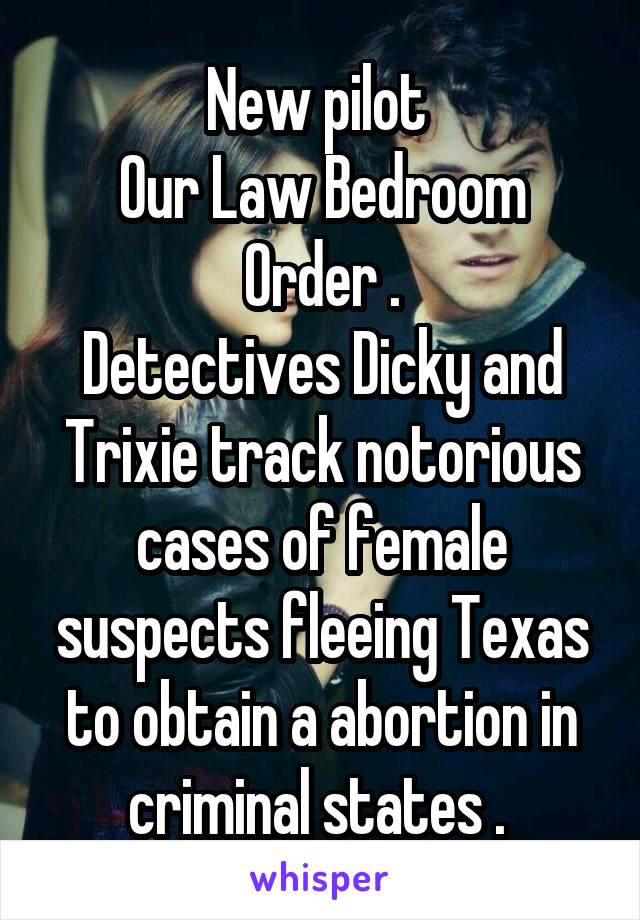 New pilot 
Our Law Bedroom Order .
Detectives Dicky and Trixie track notorious cases of female suspects fleeing Texas to obtain a abortion in criminal states . 